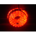 LED Rope Light (2 Wire Red)